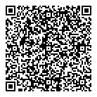 QR код "Фрисби"