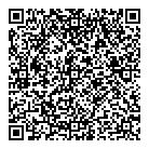 QR код "Фрисби"