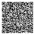 QR код "Фрисби"