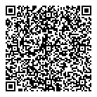 QR код "Фрисби"