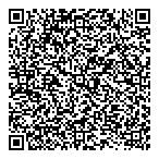 QR код "Фрисби"