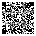 QR код "Фрисби"