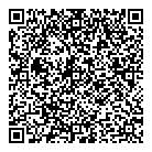 QR код "Фрисби"