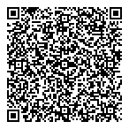 QR код "Фрисби"