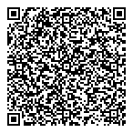 QR код "Фрисби"