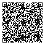 QR код "Фрисби"