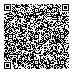 QR код "Фрисби"