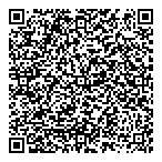 QR код "Фрисби"