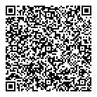 QR код "Фрисби"