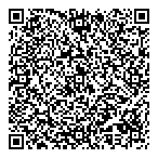 QR код "Фрисби"