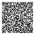QR код "Фрисби"