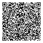 QR код "Фрисби"