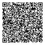 QR код "Фрисби"
