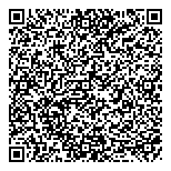 QR код "Фрисби"