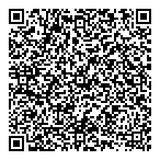 QR код "Фрисби"