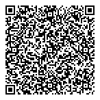 QR код "Фрисби"