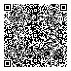 QR код "Фрисби"