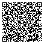 QR код "Фрисби"