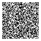 QR код "Фрисби"
