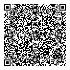 QR код "Фрисби"