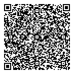 QR код "Фрисби"