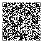QR код "Фрисби"