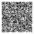 QR код "Фрисби"
