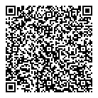 QR код "Фрисби"