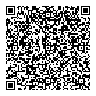 QR код "Фрисби"