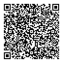 QR код "Аэлита"