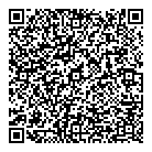 QR код "DNS Technopoint"