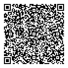 QR код "Авиатор"