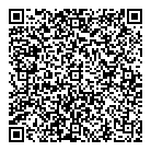 QR код "Цефей"