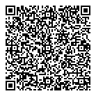 QR код "STODETALEY.RU"