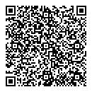 QR код "Алиса"