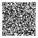 QR код "Лион"