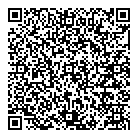 QR код "Профессионал"