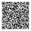 QR код "Профессионал"