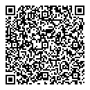 QR код "Ромашка"