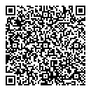 QR код "Silver Rain"