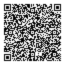 QR код "Венеция"