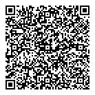 QR код "Паутинка"