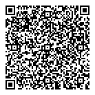 QR код "Picasso"