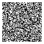 QR код "Professional Style"