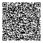QR код "Чайка"