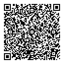 QR код "Сатурн"