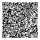 QR код "IT-problema"