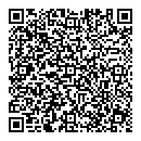 QR код "Solo"