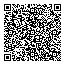 QR код "Леди"