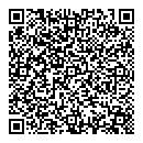QR код "Чайка"